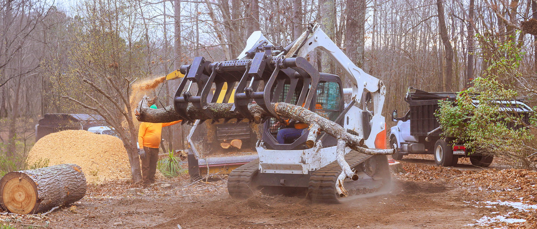 Commercial Landscaping and Tree Company doing work