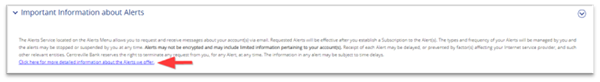 "Important Information about Alerts" section with a red arrow pointing to the detailed information link.