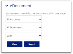 eDocument search form with dropdown filters for accounts, document types, and year.