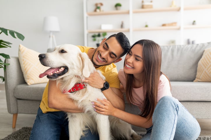 iStock-1344021882